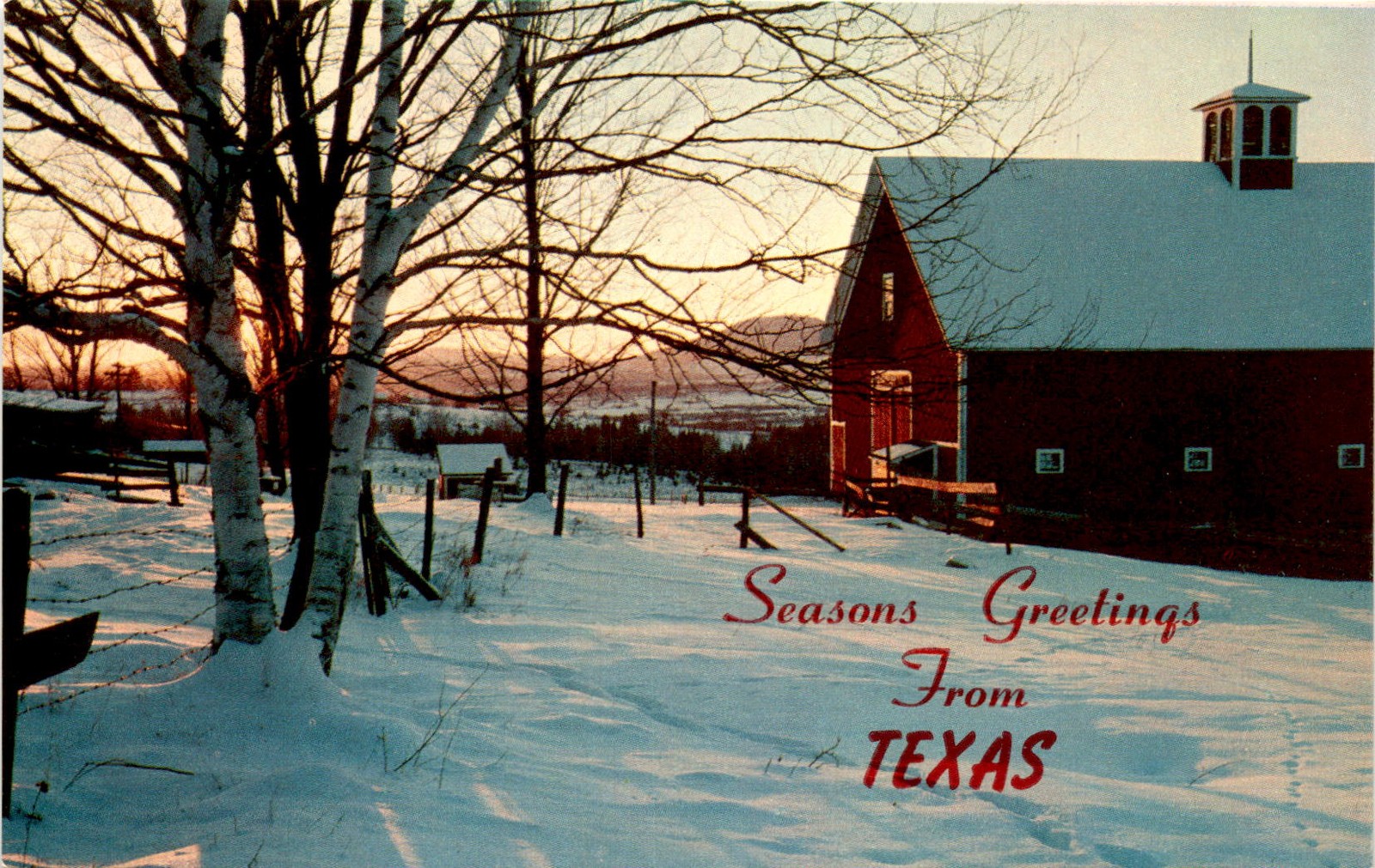 TEXAS, U.S.A., TICHNOR BROS., BOSTON, MASS. Postcard