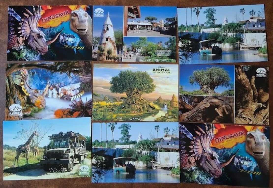 LOT of 35 AMUSEMENT PARK Postcards – WALT DISNEY WORLD / ANIMAL KINGDOM