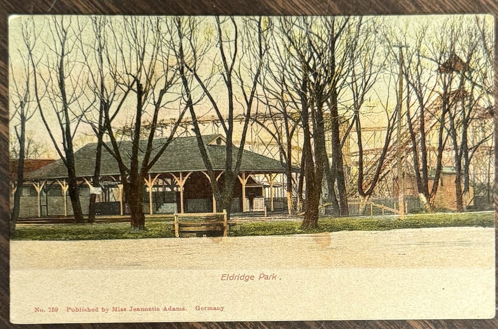 ca 1913 Eldridge Park-Amusement Park, Elmira NY-View Of ROLLER COASTER