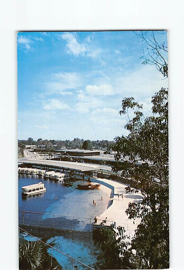 Postcard Aerial View Bathing Beach Florida’s Silver Springs USA