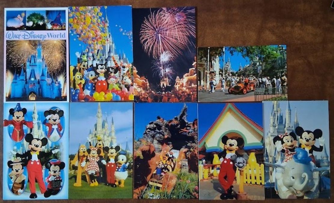 LOT of 35 AMUSEMENT PARK Postcards – WALT DISNEY WORLD / ANIMAL KINGDOM