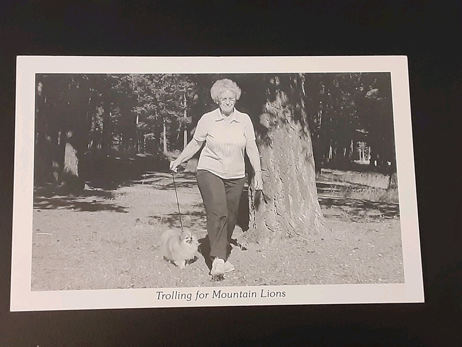 Vintage Duckboy 11 Hunting & Recreation Comic Postcards Black and White Unused